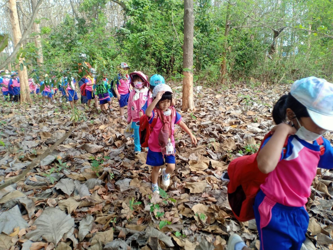 image6